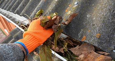 gutter cleaning service