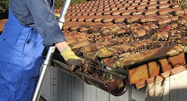 roof gutter cleaning